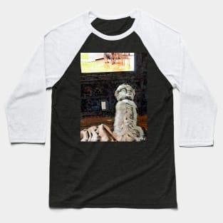 Companion Baseball T-Shirt